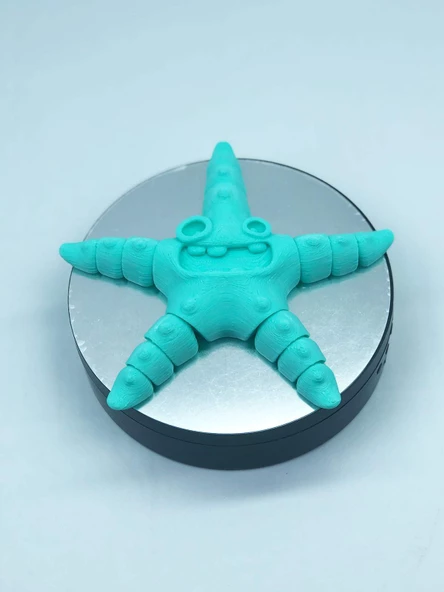 3D Hareketli Deniz Yıldızı Oyuncak - Turkuaz - Resim 7