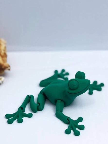 3D Hareketli Kurbağa Figürlü Oyuncak - Yeşil - Resim 6