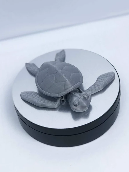 3D Hareketli Kaplumbağa Figürlü Oyuncak - Gri - Resim 6