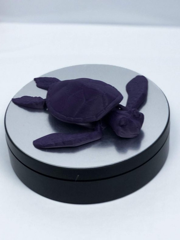 3D Hareketli Kaplumbağa Figürlü Oyuncak - Mor