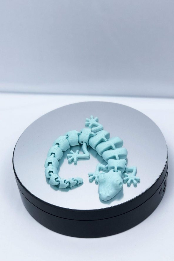 3D Hareketli Oyuncak Kertenkele - Turkuaz - 3