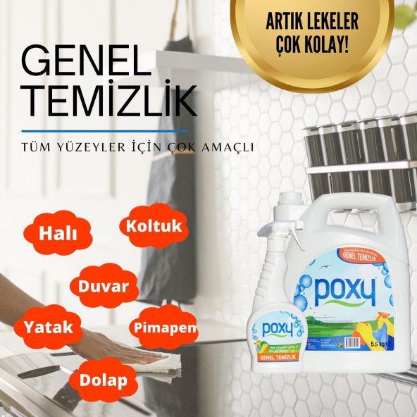 Genel Temizlik 1000 ml 2li Set - 2