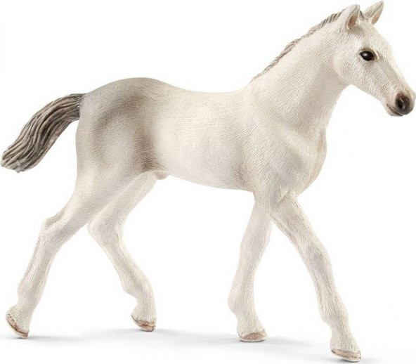 Schleich Holsteiner Tay 13860