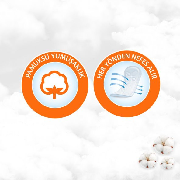 Molped Süper Ekonomik Aktif Günler Günlük Ped Ekstra İnce 60x3 180 Adet - Resim 3