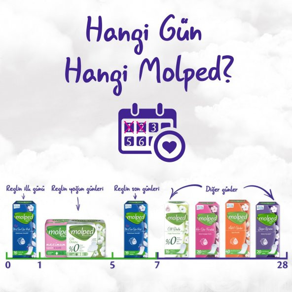 Molped Süper Ekonomik Aktif Günler Günlük Ped Ekstra İnce 60x4 240 Adet - Resim 3