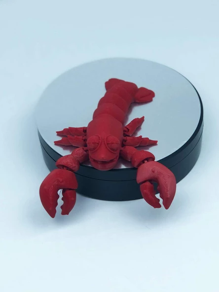 3D Hareketli Istakoz Figürlü Oyuncak - Kırmızı - Resim 4