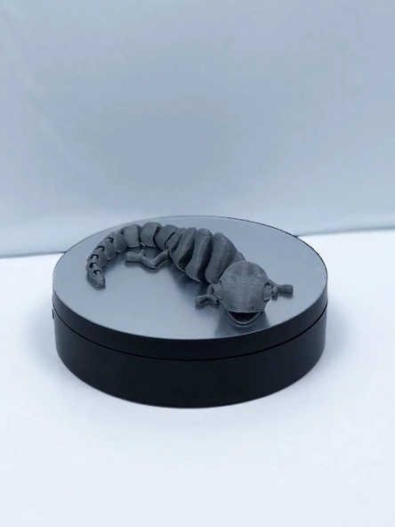 3D Hareketli Bukalemun Figürlü Oyuncak - Gri - Resim 5