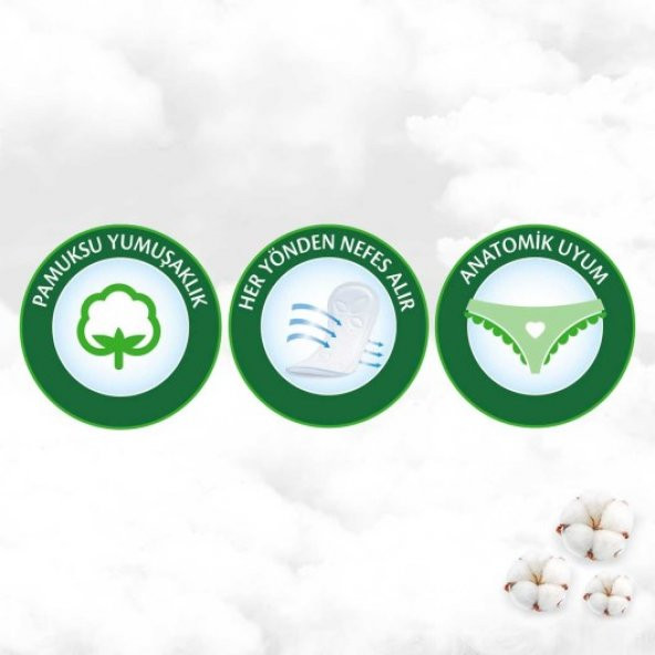 Molped Cilt Dostu Pure&Soft Günlük Ped İnce 16 Adet - Resim 3