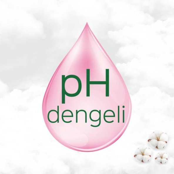 Molped Cilt Dostu Pure&Soft Günlük Ped İnce 16x4 64 Adet - 3