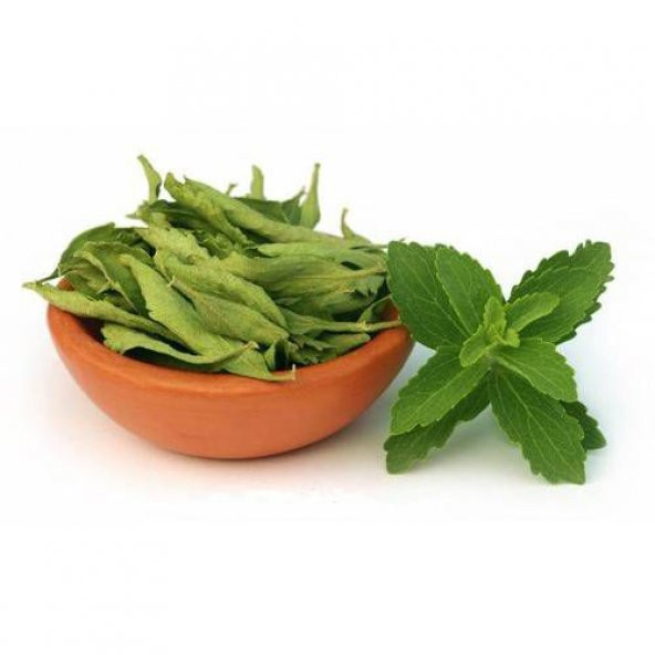 Şeker Otu Tohumu Stevia Tohumu 20 Adet Tohum + Tohum