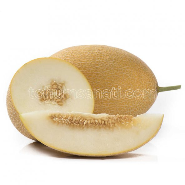 Lokum Kavun Tohumu 50 Adet Tohum ürün görseli