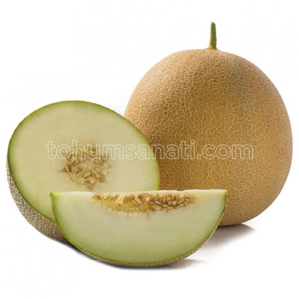 Gediz Kavun Tohumu 250 Adet Tohum ürün görseli