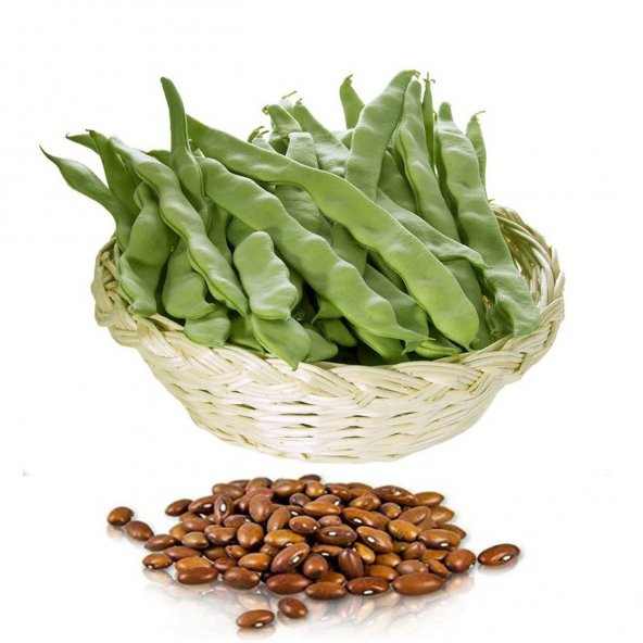 Ayşe Kadın Oturak Fasulye 50 Tohumu ürün görseli