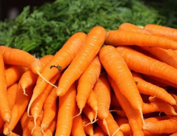 Doğal Havuç Tohumu ürün görseli