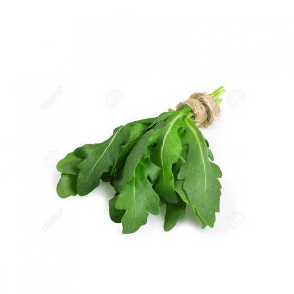 Tohum Roka Tohumu 50+ Adet Roka Tohumu ürün görseli