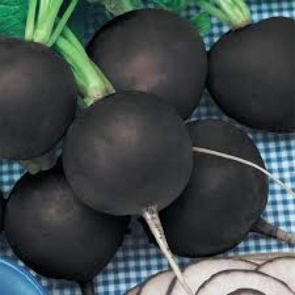 75 Adet Tohum Siyah Turp Tohumu Siyah Turp Hye Toh... ürün görseli