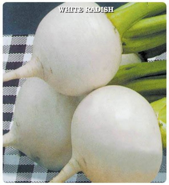 Beyaz Turp Tohumu 500 Tohum