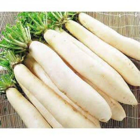 Erkenci Japon Turp Tohumu 50 Tohum Japon Turpu ürün görseli 1