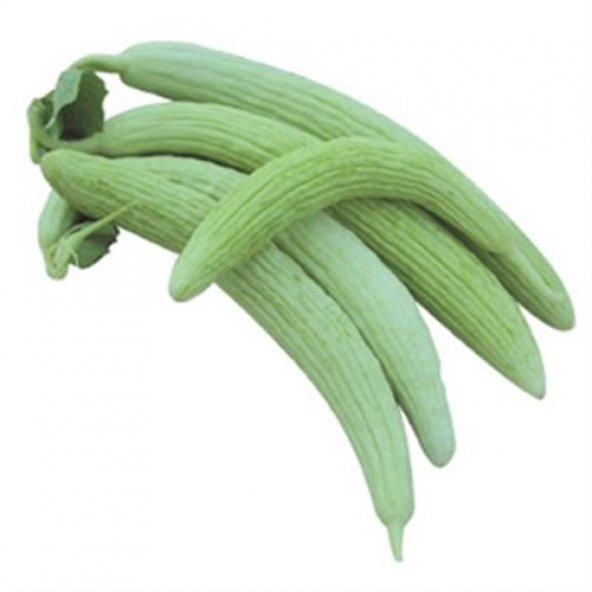 Paket 300 Tohum Turşuluk Acur Tohumu + Tohum ürün görseli