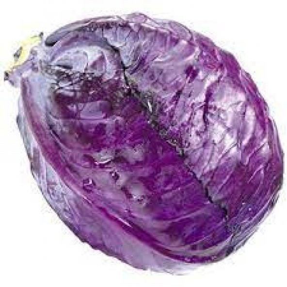50 Adet Tohum Kırmızı Mor Lahana Kara Lahana Tohumu Y ürün görseli