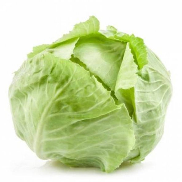 Tohum Beyaz Lahana Tohumu 50+ Adet Beyaz Lahana Tohumu ürün görseli