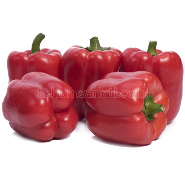 Aktör Biber Tohumu 250 Adet Tohum ürün görseli