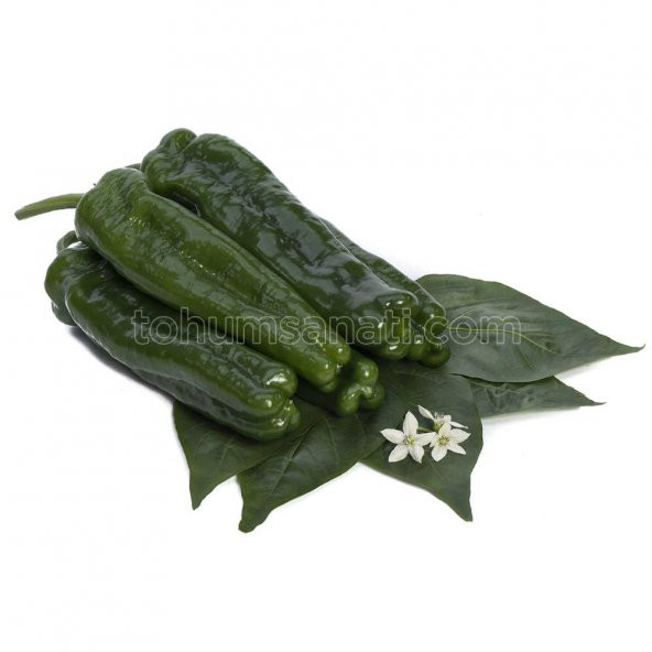Acıburun Biber Tohumu 250 Adet Tohum ürün görseli
