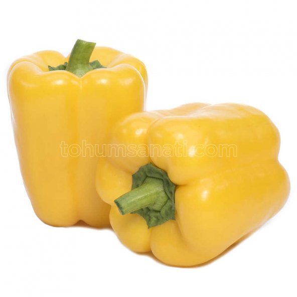 Dut Biber Tohumu 50 Adet Tohum ürün görseli