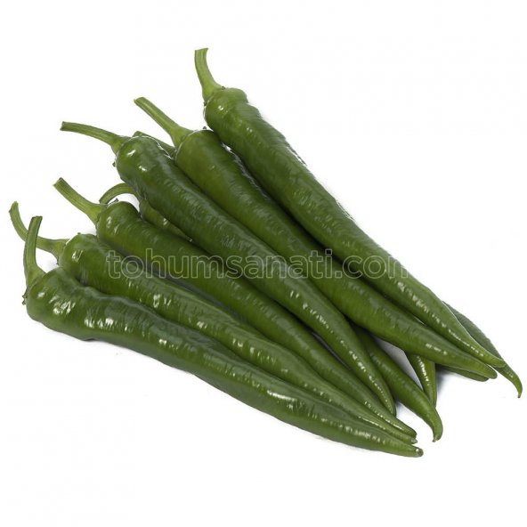 Bafra Biber Tohumu 250 Adet Tohum ürün görseli 1