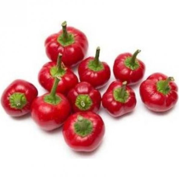 Biber Yakantop Acı Biber 30 Ad+ Tohum ürün görseli