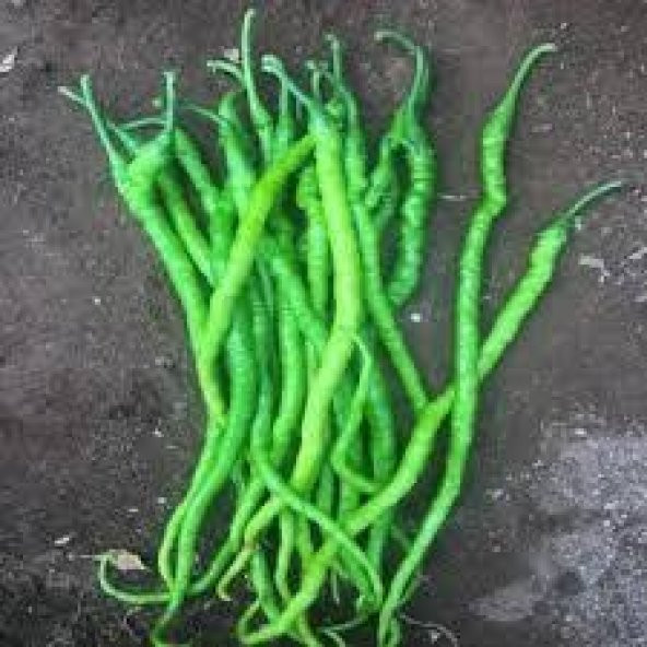 75 Adet Tohum Burkalem Biber Tohumu Kıl Biber Biber Saksı Topr... ürün görseli