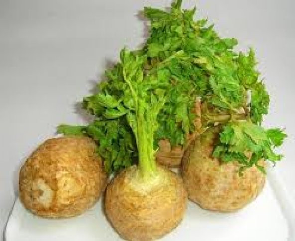 200 Adet Tohum Kereviz Tohumu Tohum ürün görseli