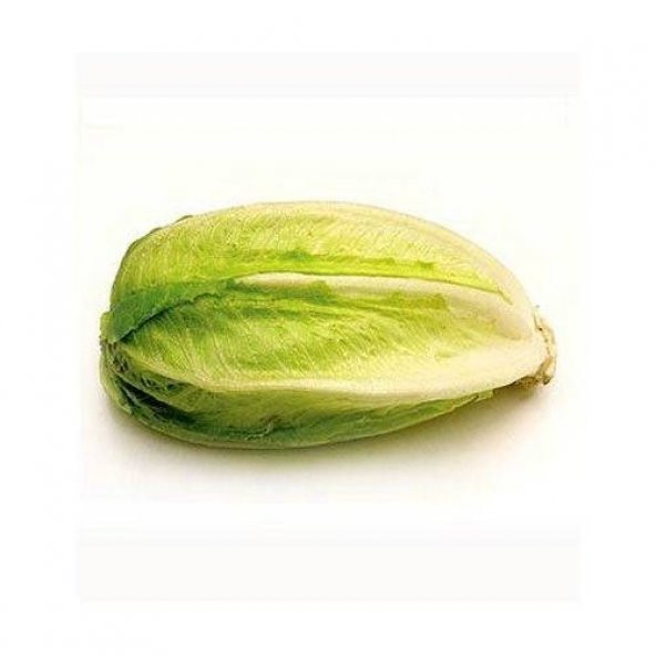 Yedikule Marul 150+ Adet Tohum ürün görseli