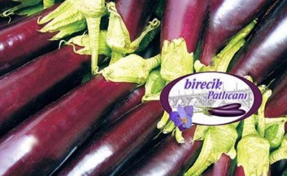 Birecik Patlıcan Tohumu Kurutmalık Patlıcan Tohumu 50 Tohum