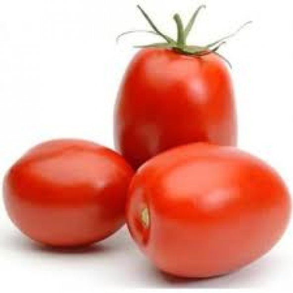 50 Adet Tohum İtalyan Rio Grande Domates Tohumu Tohumlu