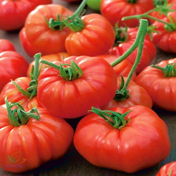 Marmande Domates Köy Tipi Tohumu +500 ürün görseli