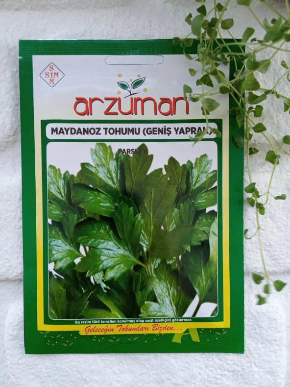 Maydanoz Geniş Yaprak Tohum 1 Paket Maydanoz Tohumu Sebze Tohumu N11.2128 ürün görseli 1