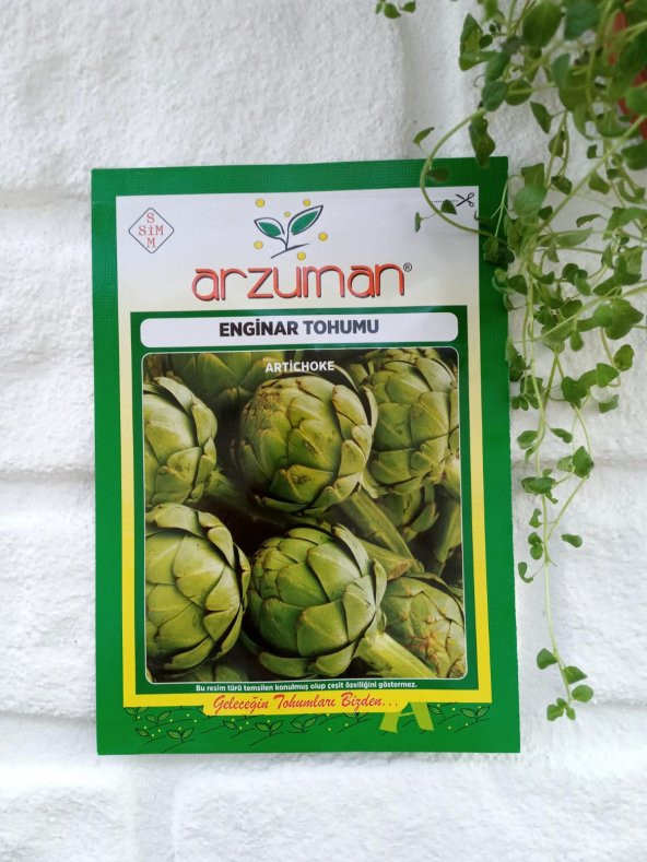 Enginar Tohumu 1 Paket 20 Adet Enginar Tohum Sebze Tohumu N11.1416 ürün görseli