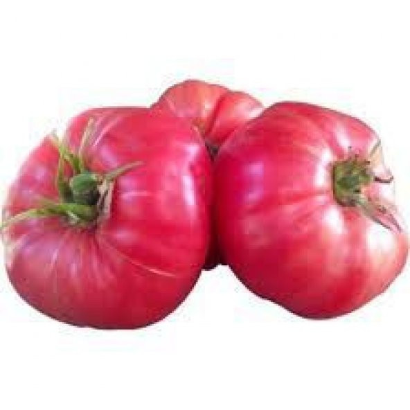 100 Adet Nadir İri Pembe Domates Tohumu + Sebze Tohumu ürün görseli