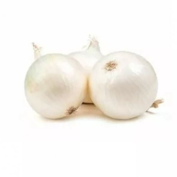 +1000 Tohum Tatlı Beyaz Soğan Tohumu + Sebze Tohum ürün görseli