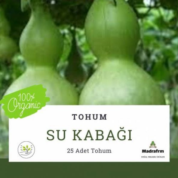 Su Kabağı Tohumu - 25 Adet ürün görseli