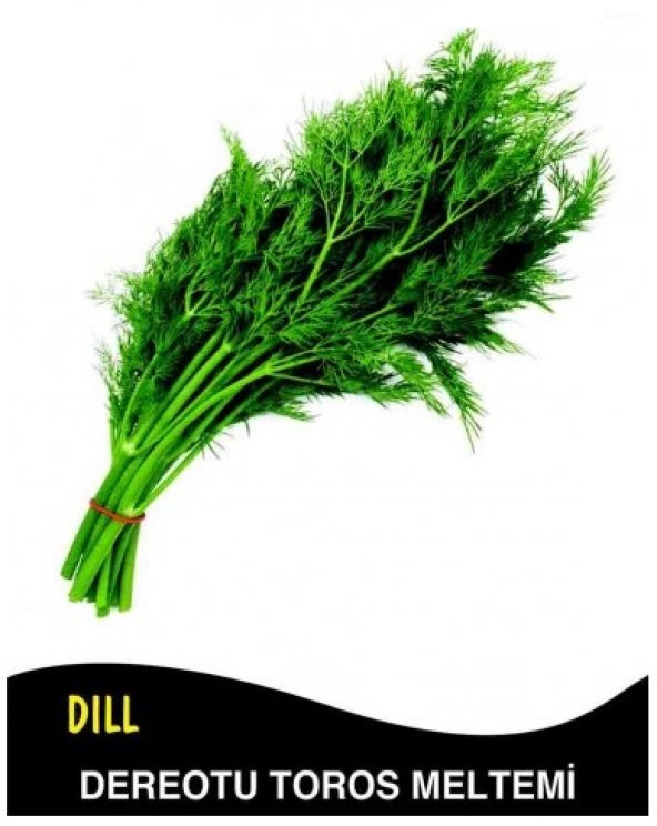 Evdeki Bahçem – Sebze Tohumu – Dereotu Tohumu ürün görseli