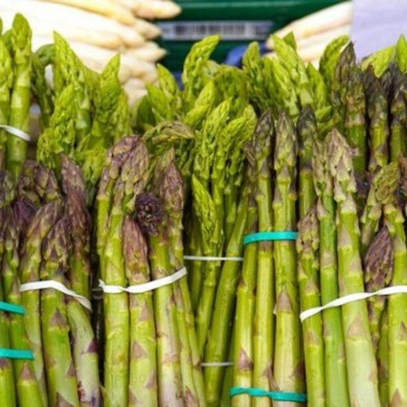 Kuşkonmaz Tohumu 20 Adet ürün görseli