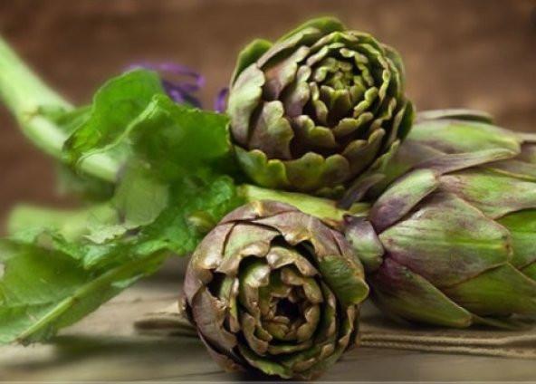 Enginar Tohumu 25+ Tohum ürün görseli