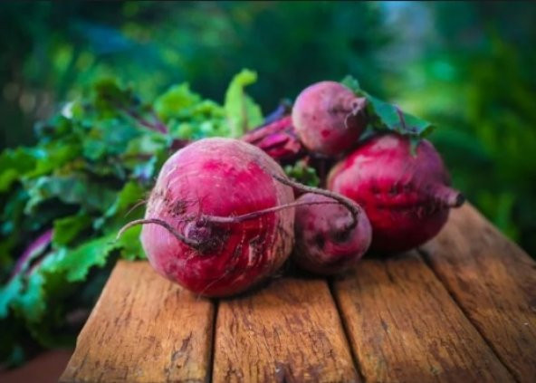 Kırmızı Pancar Tohumu 300+ Tohum N11.7338 ürün görseli 1