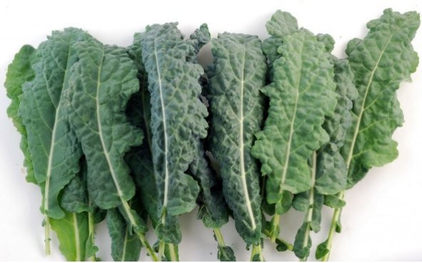 Kara Lahana Tohumu Karadeniz Lahana 500+ Tohum N11.7310 ürün görseli 1