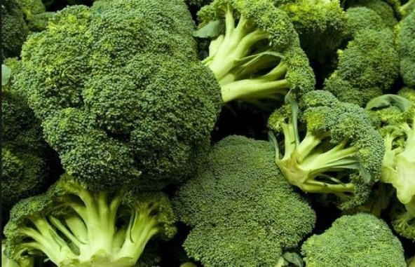 Brokoli Tohumu 50+ Tohum N11.6337 ürün görseli 1