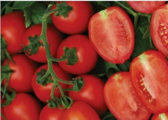 Rio Grande Salkım Domates Tohumu 25+ Tohum N11.1315 ürün görseli
