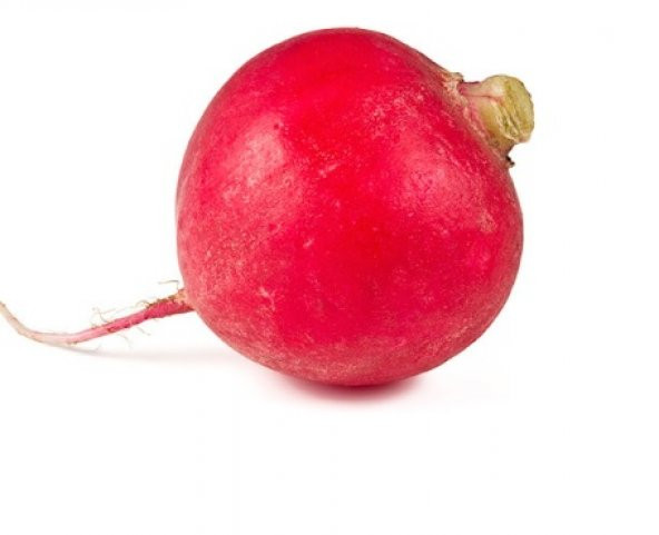 İri Kırmızı Turp Tohumu 100+ Tohum N11.8525 ürün görseli