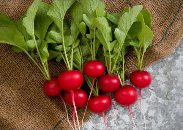 Kırmızı Fındık Turp Tohumu 100+ Tohum N11.8284
